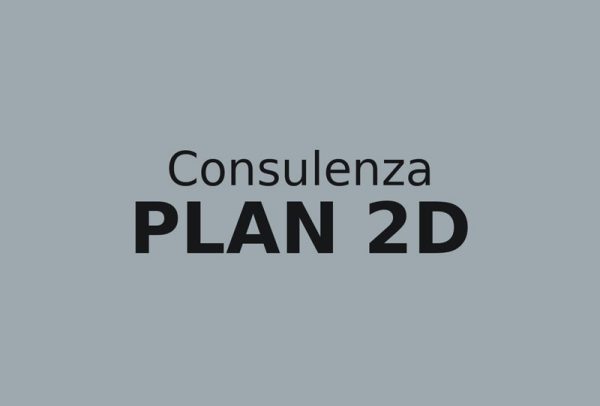 Consulenza PLAN 2D